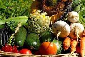 Infos Secteur Fruits & Légumes Biocomminges