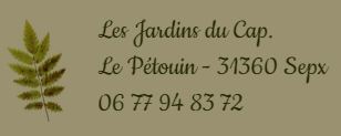 Les Jardins du Cap : Plantes Médicinales
